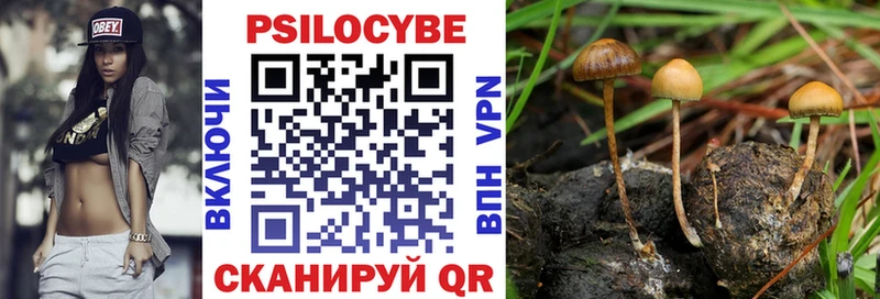 omg маркетплейс  Бабушкин  Псилоцибиновые грибы Magic Shrooms 